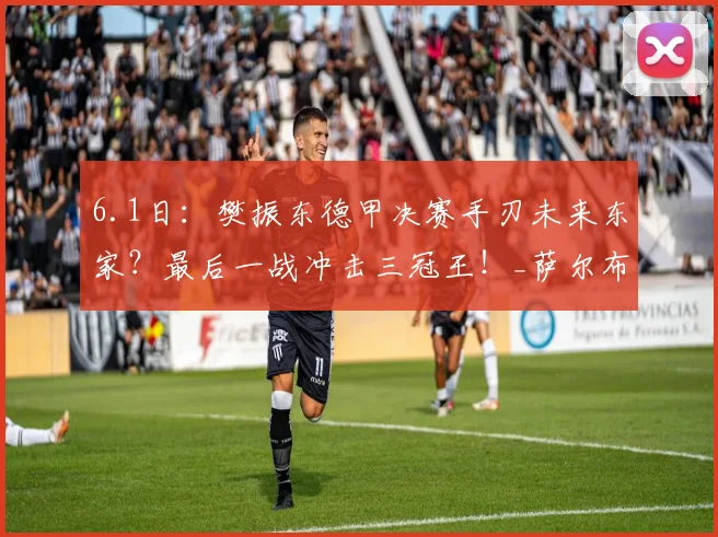 6.1日：樊振东德甲决赛手刃未来东家？最后一战冲击三冠王！_萨尔布吕肯_杜塞尔多夫_欧冠
