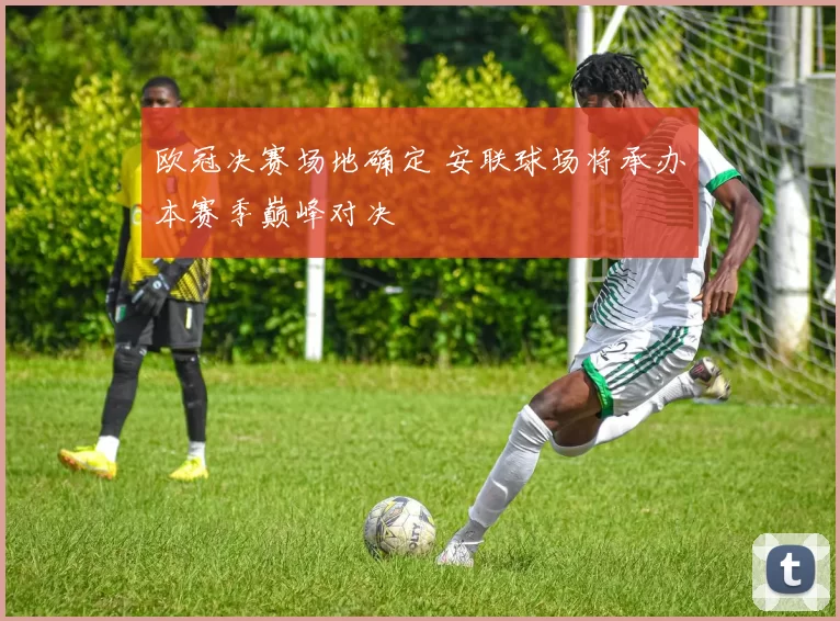 欧冠决赛场地确定 安联球场将承办本赛季巅峰对决