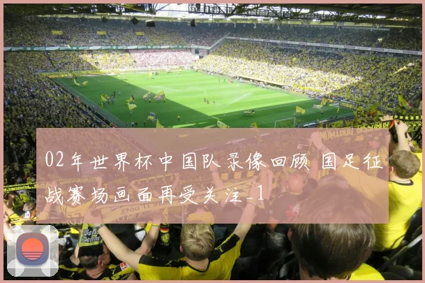 02年世界杯中国队录像回顾 国足征战赛场画面再受关注_1