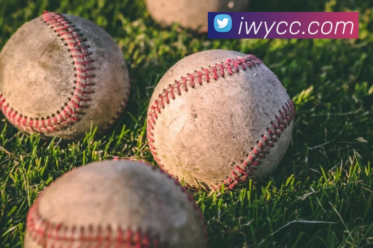 世界杯网APP 封面图