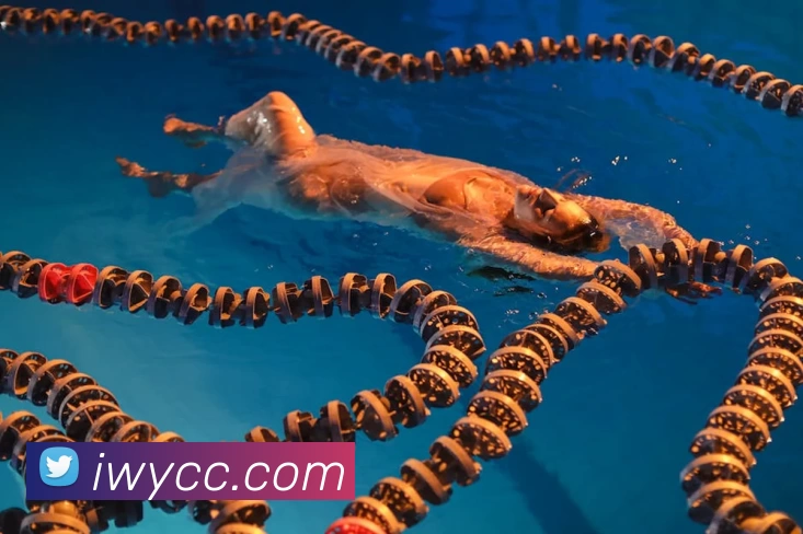 数据防护可视化